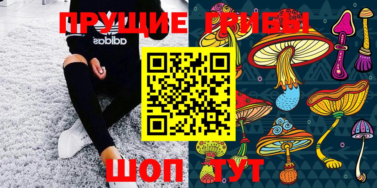 Псилоцибиновые грибы Psilocybine cubensis  Вход с VPN  Горно-Алтайск 